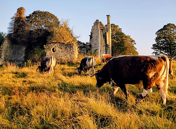 Hampton Gay Farm, Hampton Gay, Oxfordshire, OX5 2QH