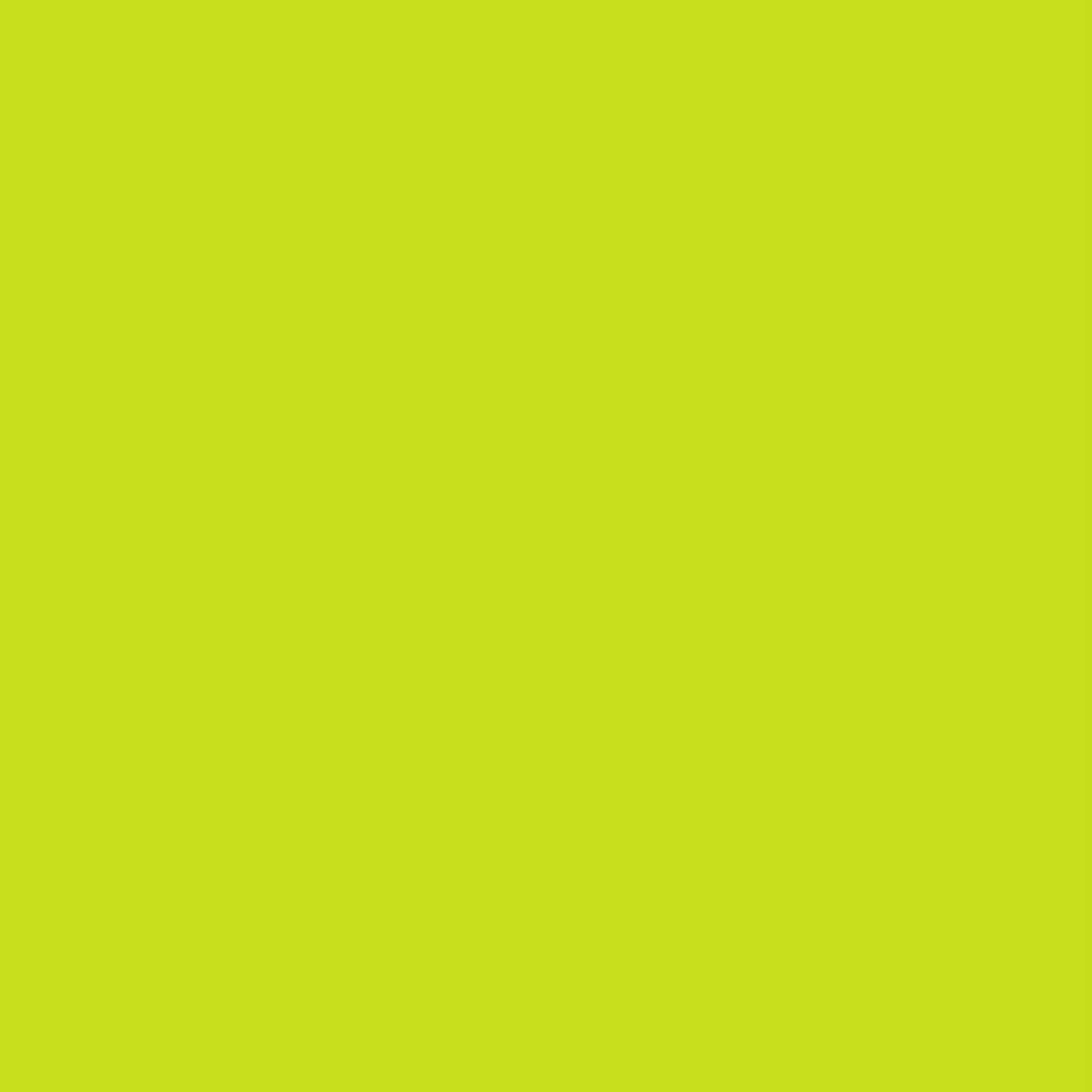 Siser® EasyWeed® PS Film Verde Lime