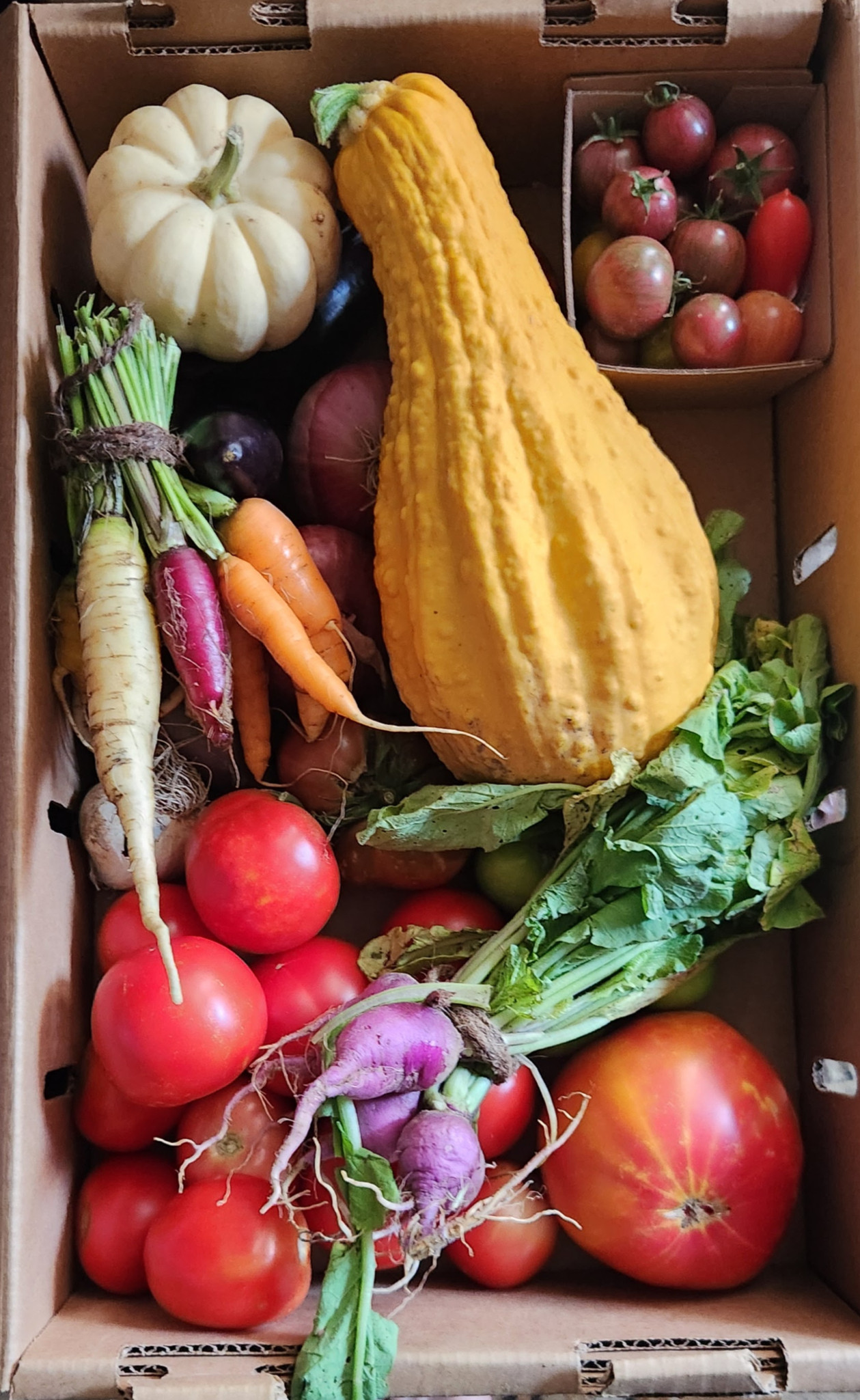 4-Week CSA Box