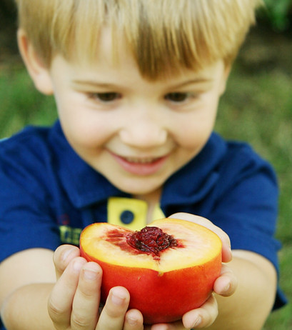 Vossler Boys - Peaches 09-2 021.jpg