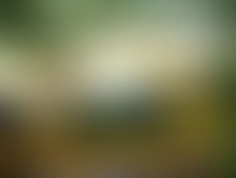 Вот и наступило долгожданное лето!!!