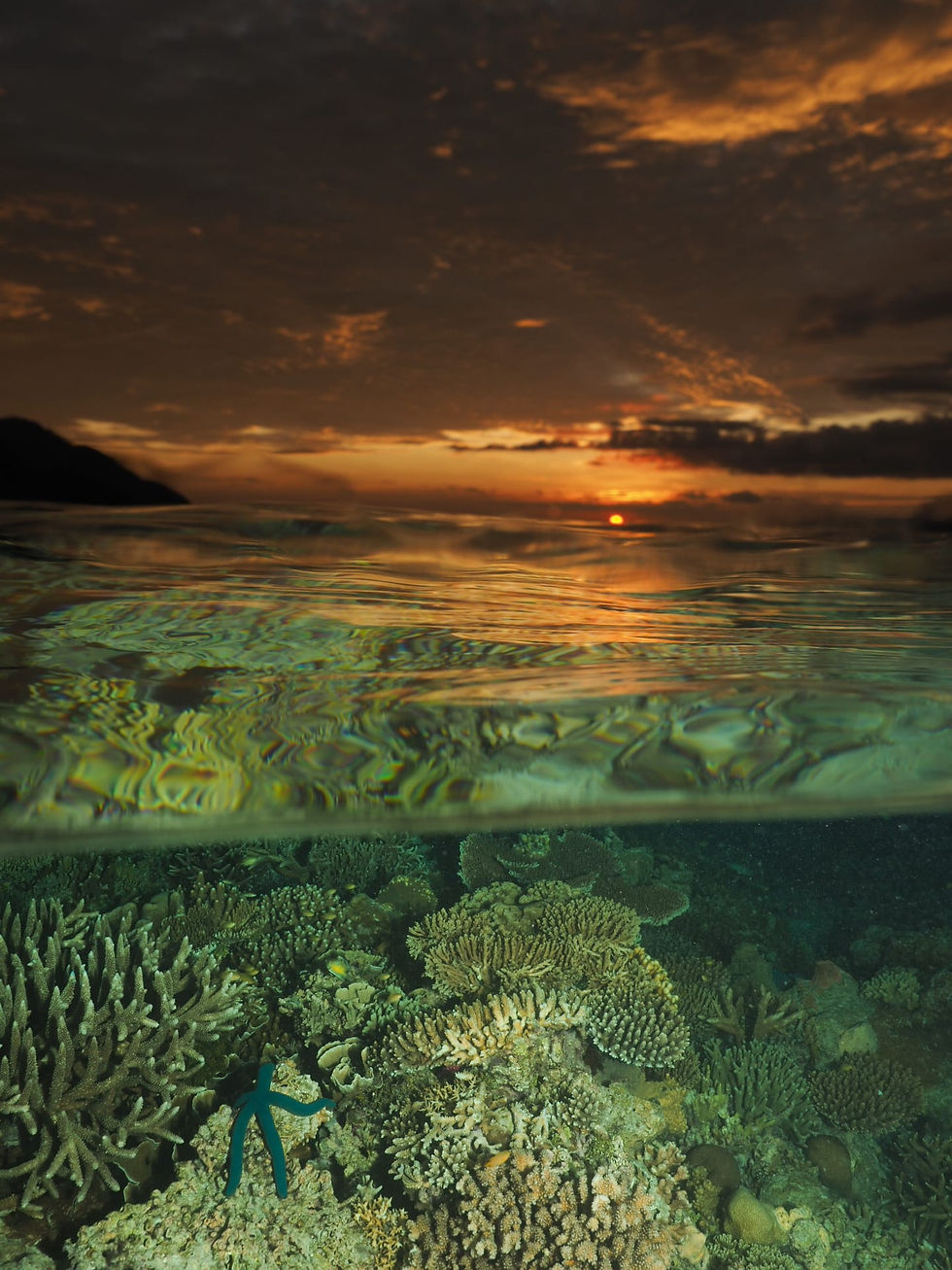 Sunset at Raja Ampat, picture has sunset and coral reef underwater picture