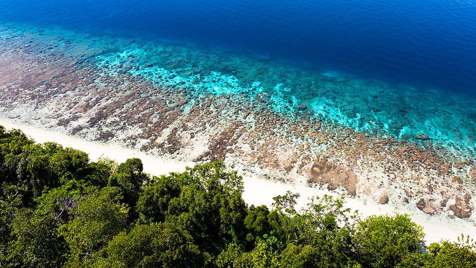 Welcome to Indo SeaSpirit - Where the Ocean meets Adventure