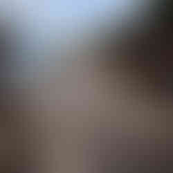 Mangroves planting at local Homestay