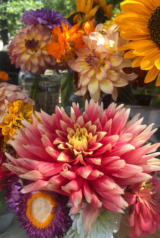 Sugar Pine Farm at the Redding Farmers Markets (photo 1 of 6)