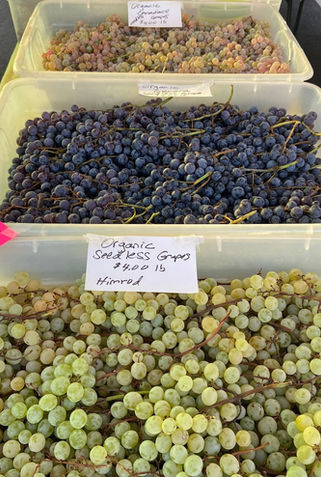 Churn Creek Meadow Organic Farm at the Redding Farmers Markets (photo 3 of 6)