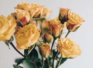 Yellow Roses