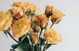 Rosas amarillas