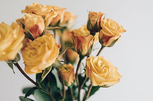 Roses jaunes