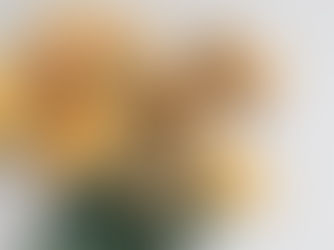 A Friend in Waiting: Getting to Know My Neighbor