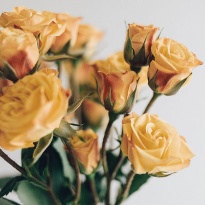 LISA BUBERT | WOMAN HOLLERING