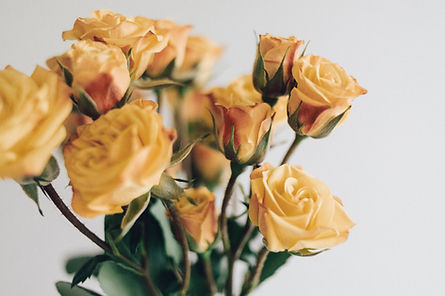 Yellow Roses