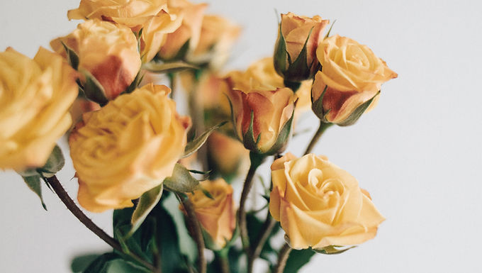 La rosa d'oro dell'Arcangelo Michele (con video=