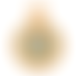 Gerente de gerentes: ¿cómo liderar cuando no estás presente?