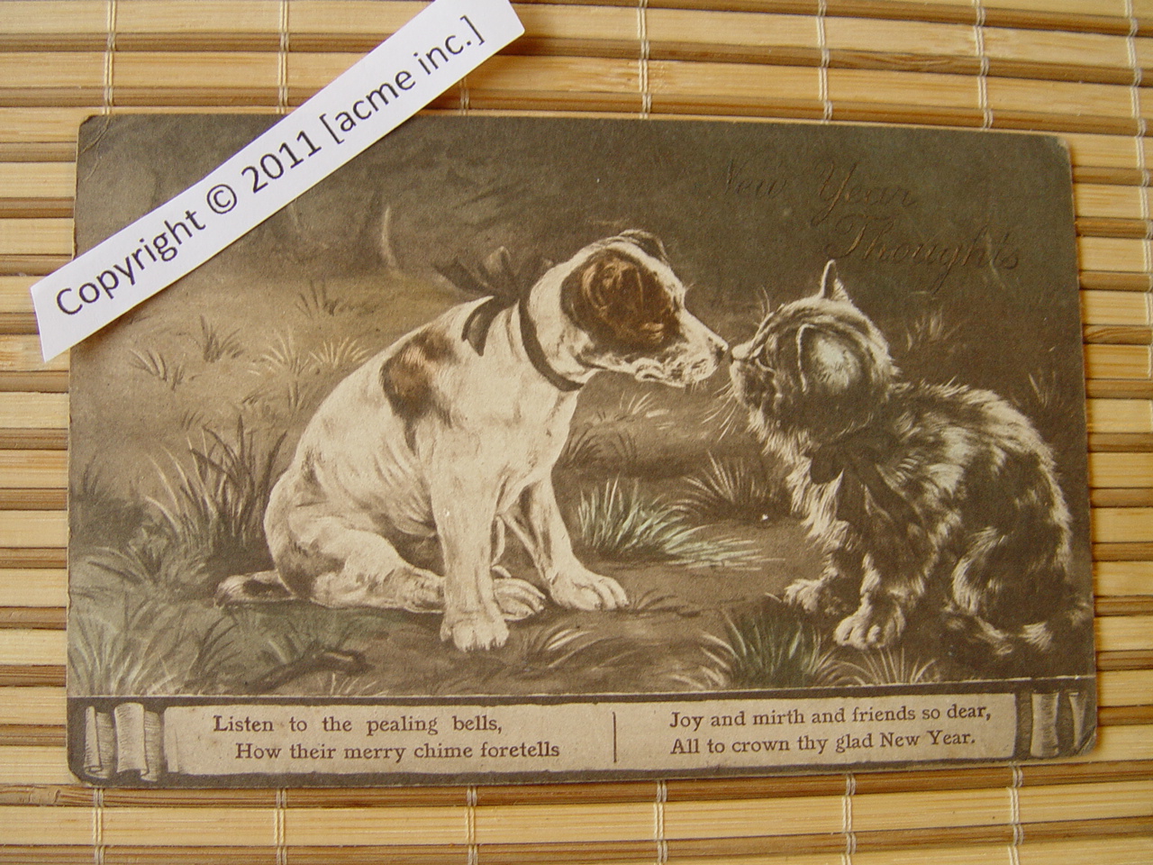 http://www.acme-inc.co.uk/greetingscards/DSC05496.jpg