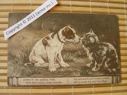 http://www.acme-inc.co.uk/greetingscards/DSC05496.jpg