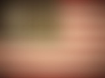 SENATORS & IMMIGRANTS: