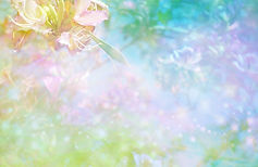 AdobeStock_207341834.jpeg