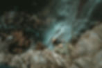 wolfgang-hasselmann-1ICIhK-ElJs-unsplash-edited_edited.jpg