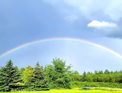 Lawn_Mowing_Rainbow.webp