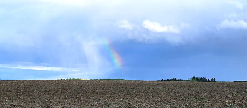 Flat Fee Rainbow Washburn Presque Isle