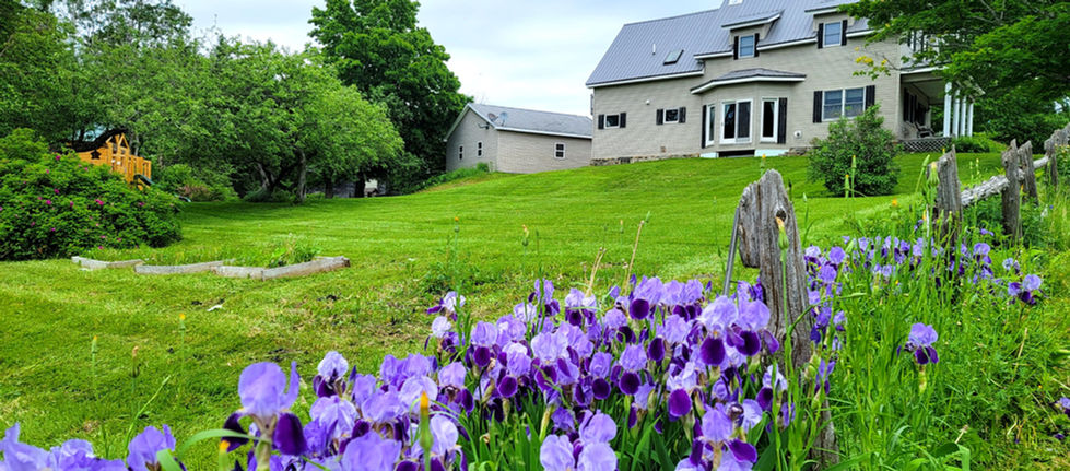 Summer Mowing New Sweden Lawns