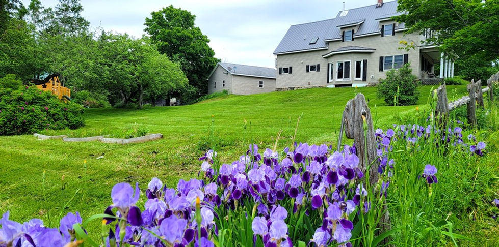 Summer Mowing New Sweden Lawns