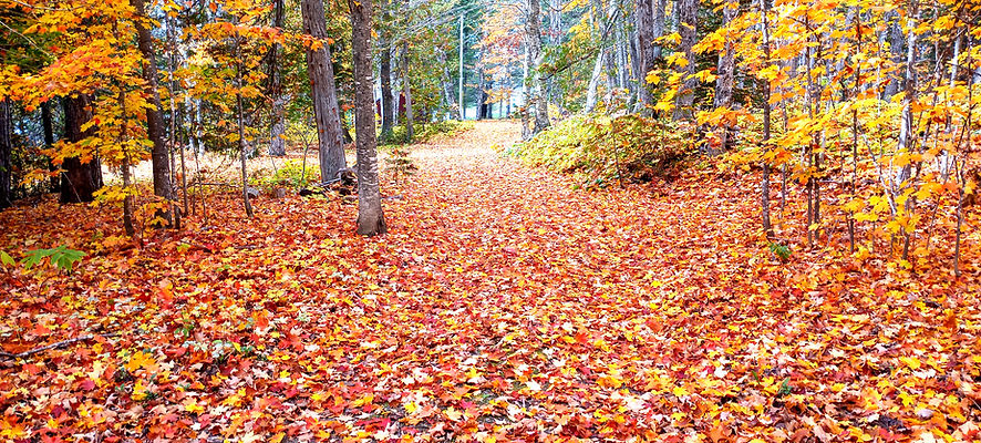 Fall & Spring Cleanup Presque Isle Caribou