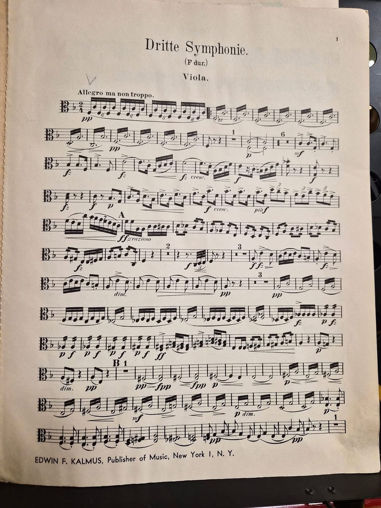 Sheet music page titled 'Dritte Symphonie' for viola