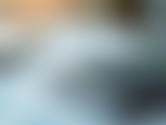 Why Choose Professional Bookkeeping for Your Business