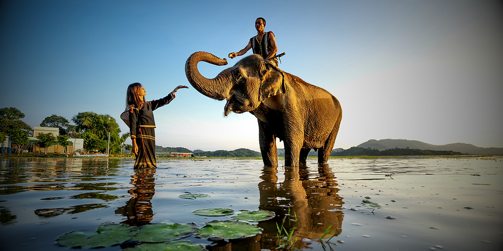 Jonathan Haidt Psychology
