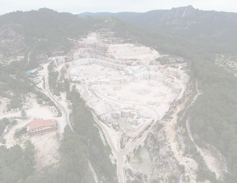 rosa porriño_edited_edited.png