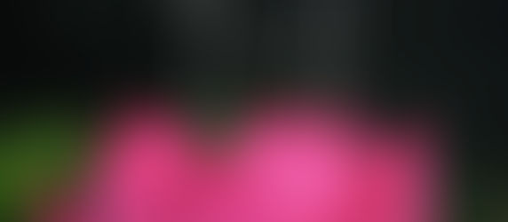 ～教会長のいい福通心(つうしん)43号～