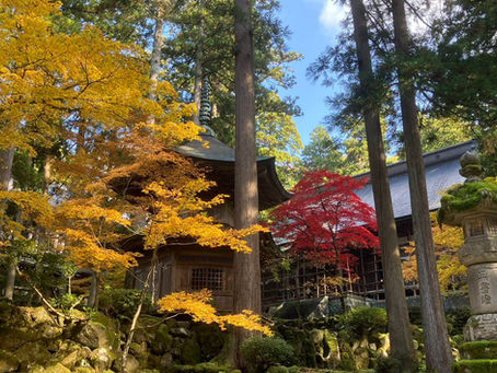 ～教会長のいい福通心(つうしん)266号～