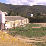 Salvem l'Empordà porta al contenciós administratiu una granja de porcs a Cantallops