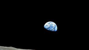 5 de Juny: Dia Mundial del Medi Ambient