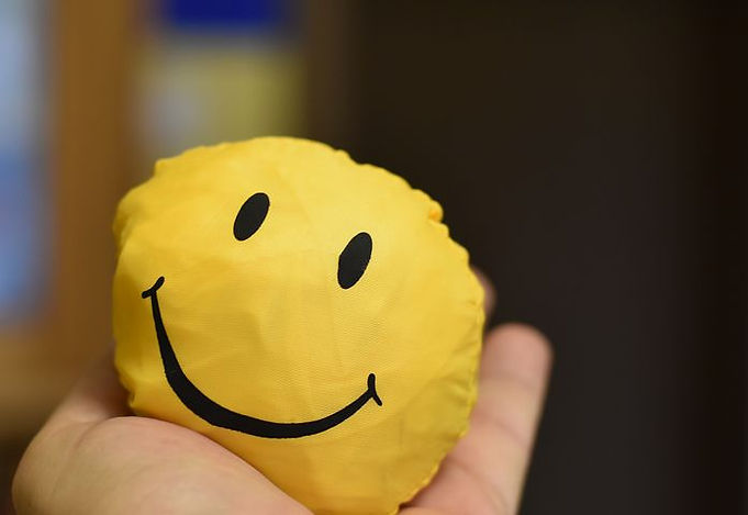 smiley-4643523__480.jpg