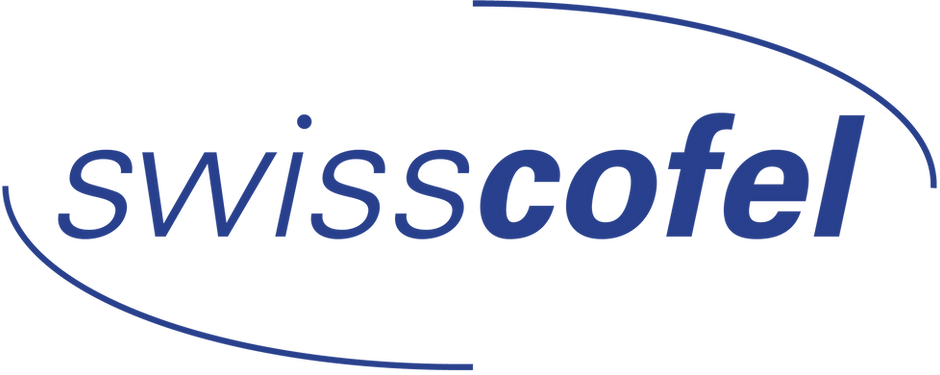 Webinar Leadership für swisscofel