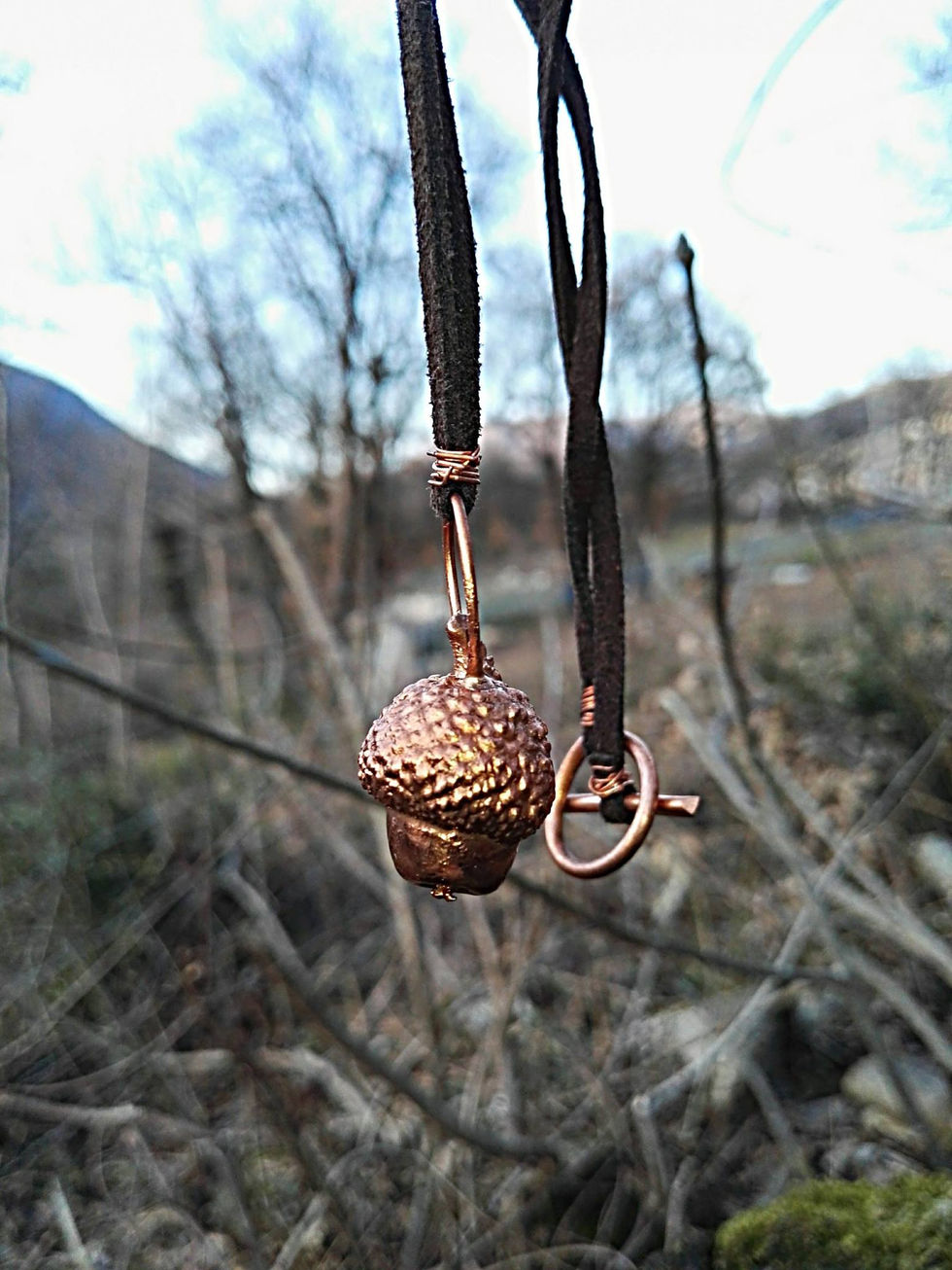 34050212_201829240448077_5270265750861381632_n