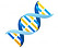 DNA blue.jpg