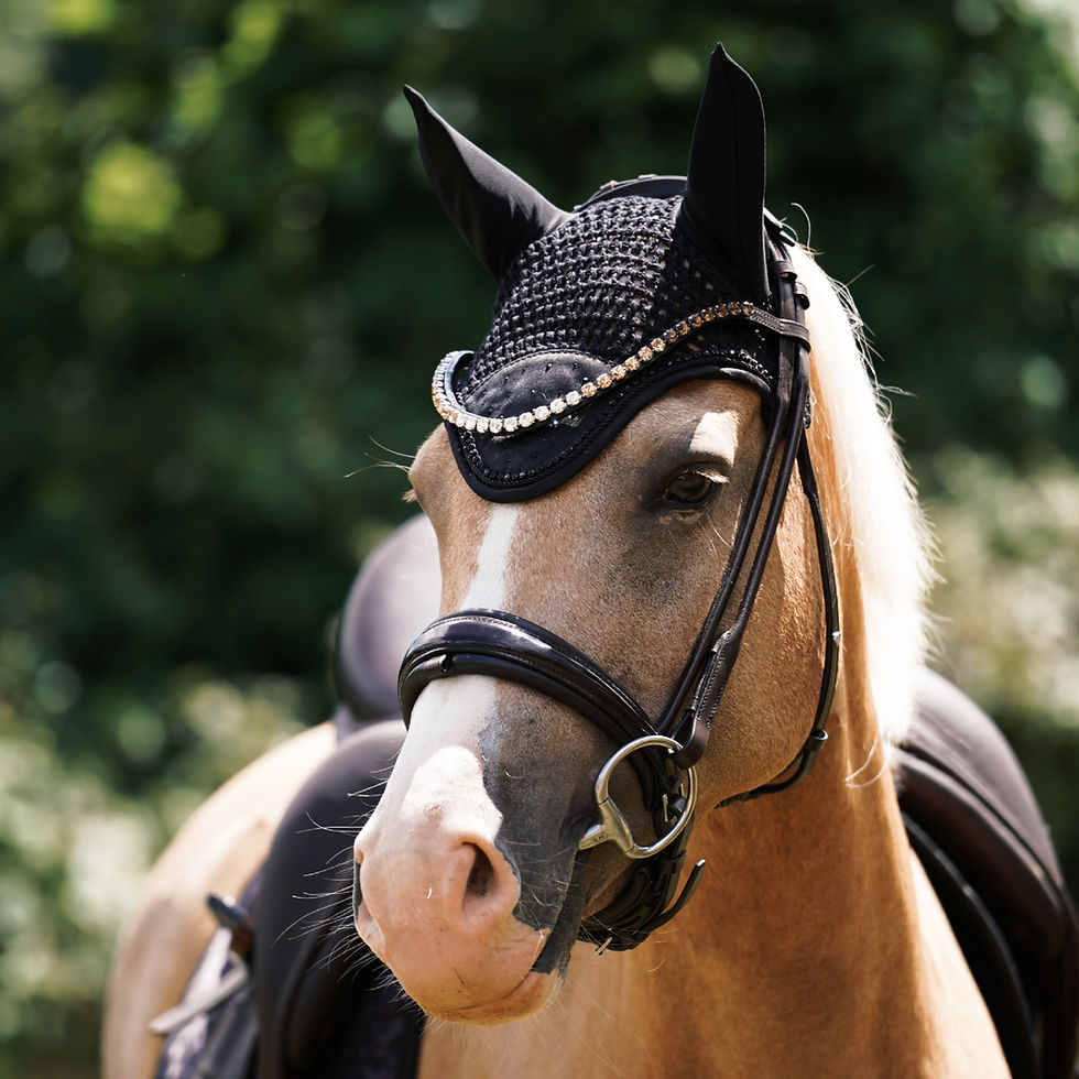 Strass Fliegenohren schwarz | in 3 Farb-Varianten | in 4 Größen