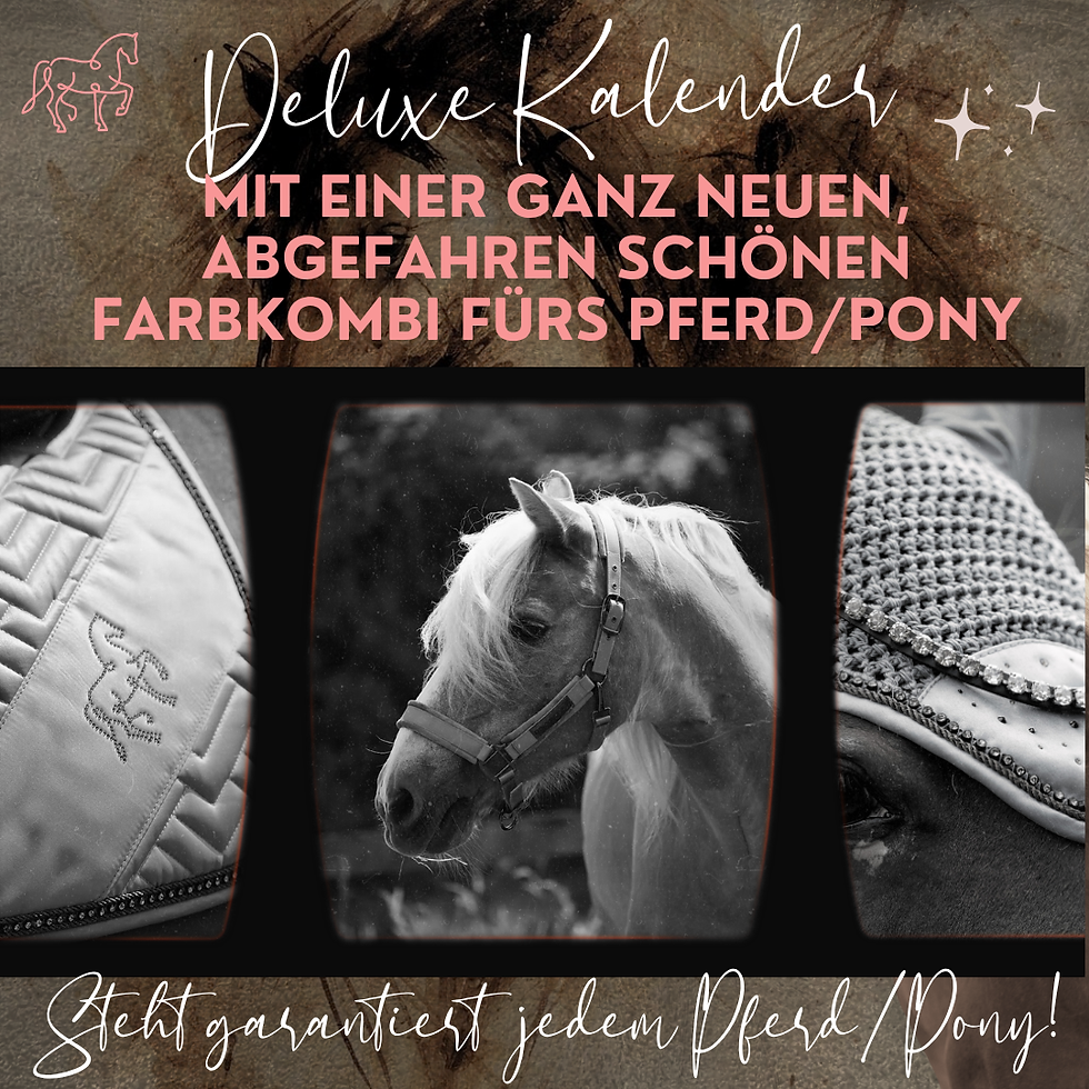 Miniaturbild: DELUXE Adventskalender 2026 | mit einem kompletten Set fürs Pferd!