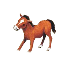 Reiterferien In Nrw Spannendes Programm Qualifizierter Unterricht ▶ ponyhof kontaktdaten ⏲ öffnungszeiten bewertungen das telefonbuch ihre nr. reiterferien in nrw spannendes