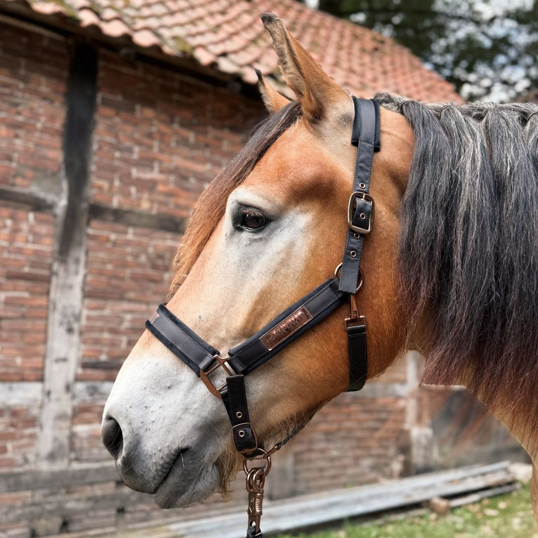 Strick | schwarz & braun + gold/bronze | passend zur neuen Kollektion