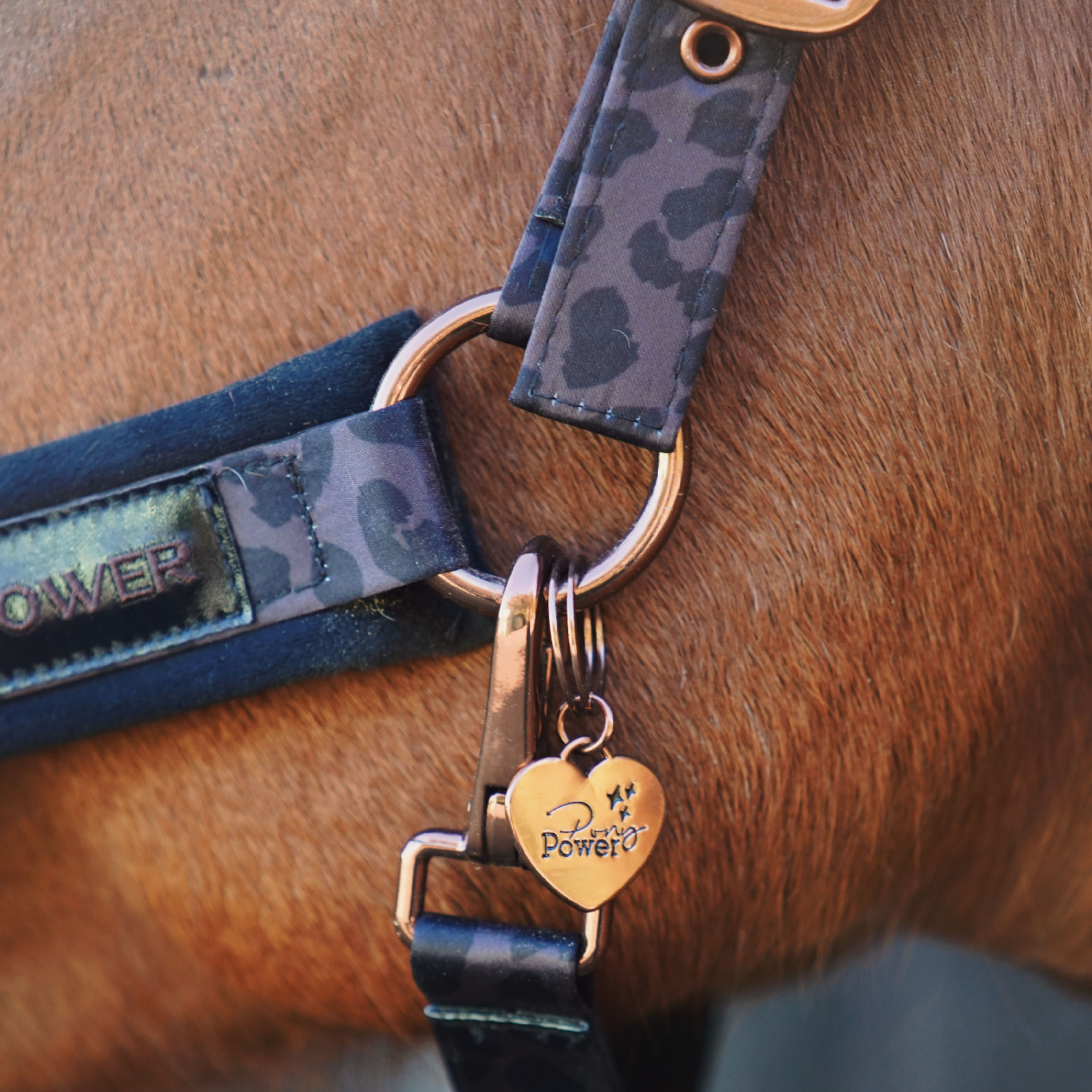 Herz Marke für's Pferd | Bronze | "Ponypower"