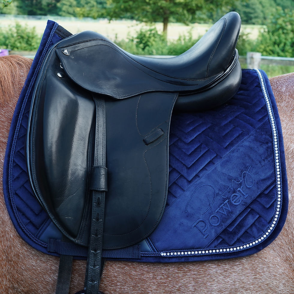 Thumbnail: MESH x SAMT SCHABRACKE | "Midnight Sparkle" navy blau | PONYPOWER