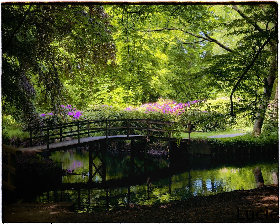 Solleveld en Hyacintenbos