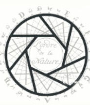 logo.jpg