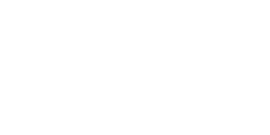 Visualulation logo