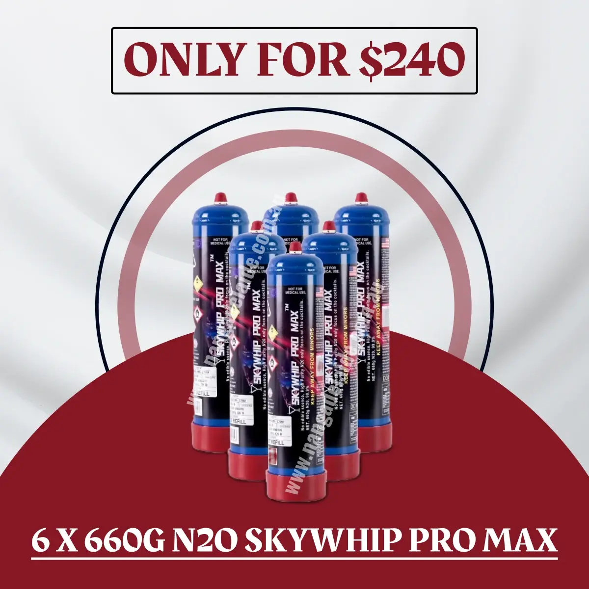 6 x 660g N2O Skywhip Pro Max Cylinder